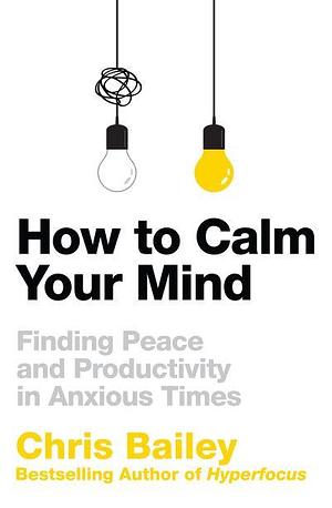 How to Calm Your Mind: Finding Peace and Productivity in Anxious Times by Chris Bailey