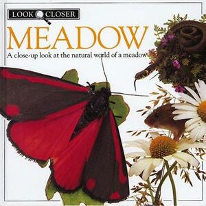 Meadow by Barbara Taylor