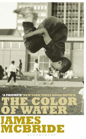 Color of Water: A Black Man's Tribute to His White Mother by James McBride