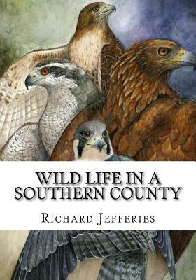 Wild Life in a Southern County by Richard Jefferies