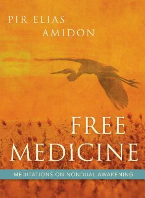Free Medicine: Meditations on Nondual Awakening by Elias Amidon