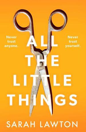 All The Little Things by Sarah Lawton