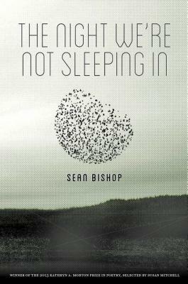 The Night We're Not Sleeping in by Sean Bishop