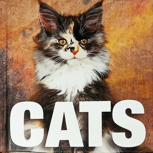 CATS by Caterina Gromis di Trana