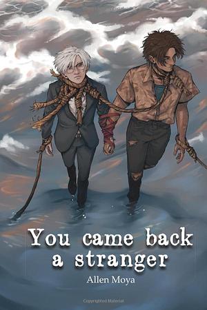 You Came Back a Stranger by Allen Moya