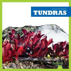 Tundras (Tundras) by Nadia Higgins