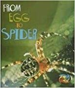 From Egg to Spider by Anita Ganeri