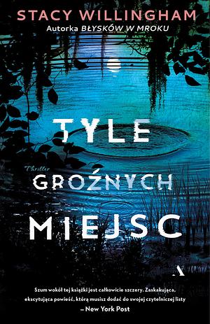 Tyle groźnych miejsc by Stacy Willingham