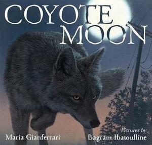 Coyote Moon by Bagram Ibatoulline, Maria Gianferrari