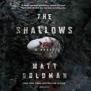 The Shallows by Matt Goldman