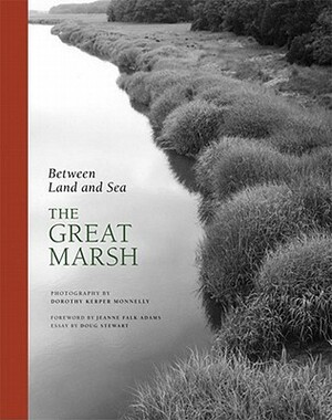 Between Land and Sea: The Great Marsh by Doug Stewart