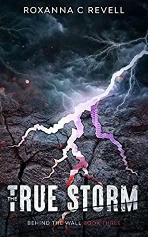 The True Storm (Behind the Wall, #3). by Roxanna C Revell