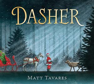 Dasher by Matt Tavares