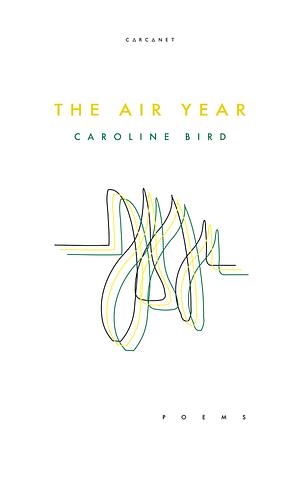 The Air Year by Caroline Bird