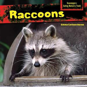 Raccoons by Emma Carlson Berne
