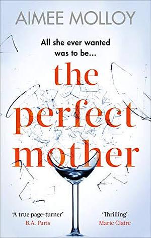 The Perfect Mother by Aimee Molloy