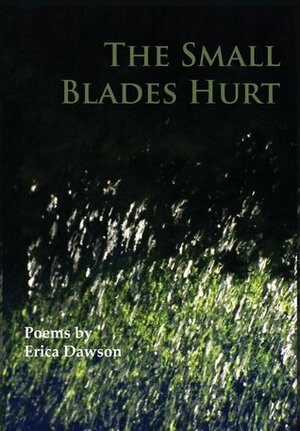 The Small Blades Hurt by Erica Dawson