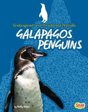 Galapagos Penguins by Molly Kolpin