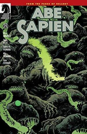 Abe Sapien #25 by Mike Mignola, Scott Allie