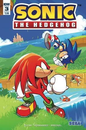 Sonic the Hedgehog #3: Fallout, Part 3 by Ian Flynn, Tyson Hesse