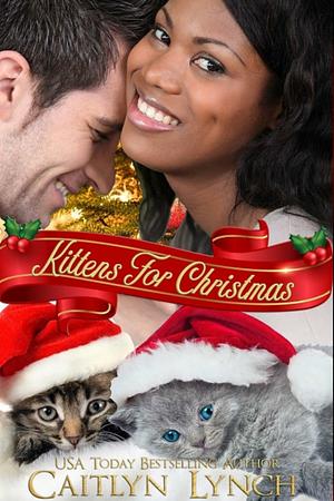 Kittens for Christmas: A Christmas romance short story by Caitlyn Lynch