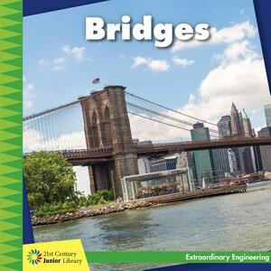 Bridges by Virginia Loh-Hagan