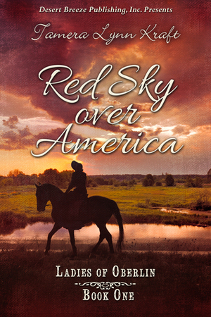 Red Sky over America by Tamera Lynn Kraft