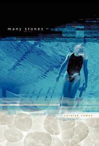 Many Stones by Carolyn Coman
