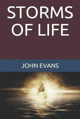 Storms of Life by John Evans