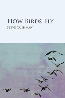 How Birds Fly by Steve Cushman