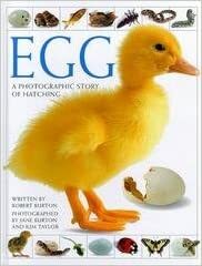 Egg: A Photographic History of Hatching by Jane Burton, Kim Taylor, Robert Burton