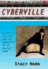 Cyberville: Clicks, Culture, and the Creation of an Online Town by Stacy Horn
