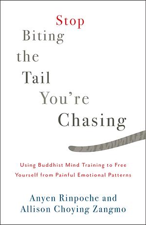 Stop Biting the Tail You're Chasing: Using Buddhist Mind Training to Free Yourself from Painful Emotional Patterns by Anyen Rinpoche