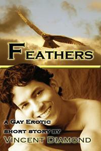 Feathers by Vincent Diamond