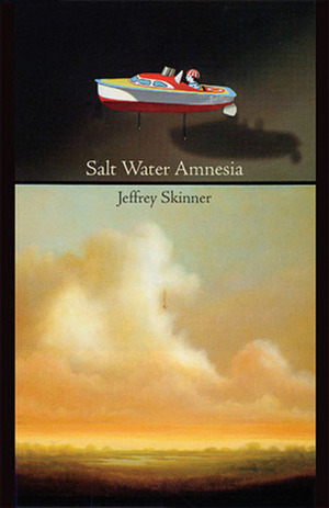 Salt Water Amnesia by Jeffrey Skinner