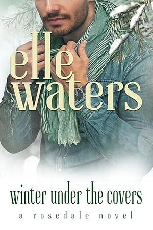 Winter Under the Covers: A Small Town M/M Secret Relationship Romance by Elle Waters