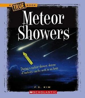 Meteor Showers by Jane Kelley