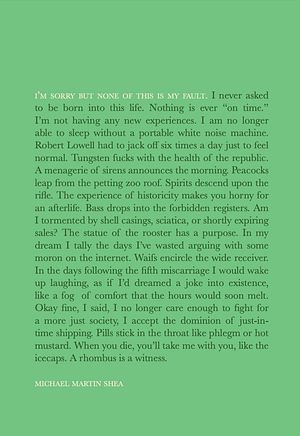 I'm Sorry But None of This Is My Fault by Michael Martin Shea