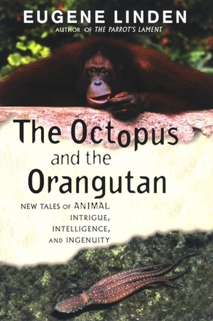 The Octopus and the Orangutan: New Tales of Animal Intrigue, Intelligence, and Ingenuity by Eugene Linden