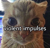 asafio's profile picture