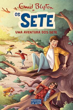 Uma Aventura dos Sete by Enid Blyton