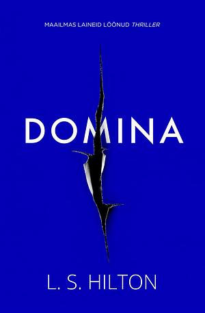 Domina by L.S. Hilton