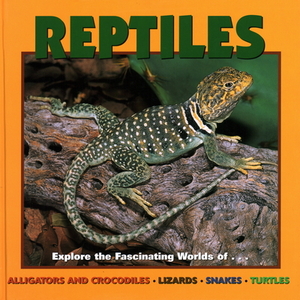 Reptiles: Explore the Fascinating Worlds Of...Alligators and Crocodiles, Lizards, Snakes, Turtles by Deborah Dennard