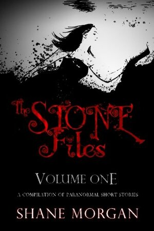 The Stone Files by Shane Morgan