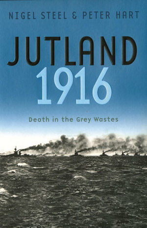 Jutland 1916: Death in the Grey Wastes by Peter Hart, Nigel Steel