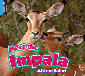 Meet the Impala by Katie Gillespie