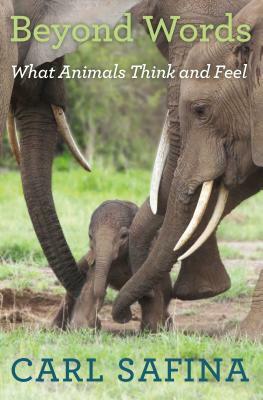 Beyond Words: What Animals Think and Feel by Carl Safina