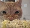 flapjackzs_'s profile picture
