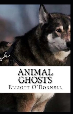 Animal Ghosts illustrated by Elliott O'Donnell