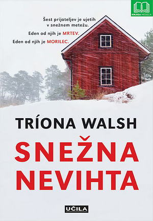 Snežna nevihta by Tríona Walsh